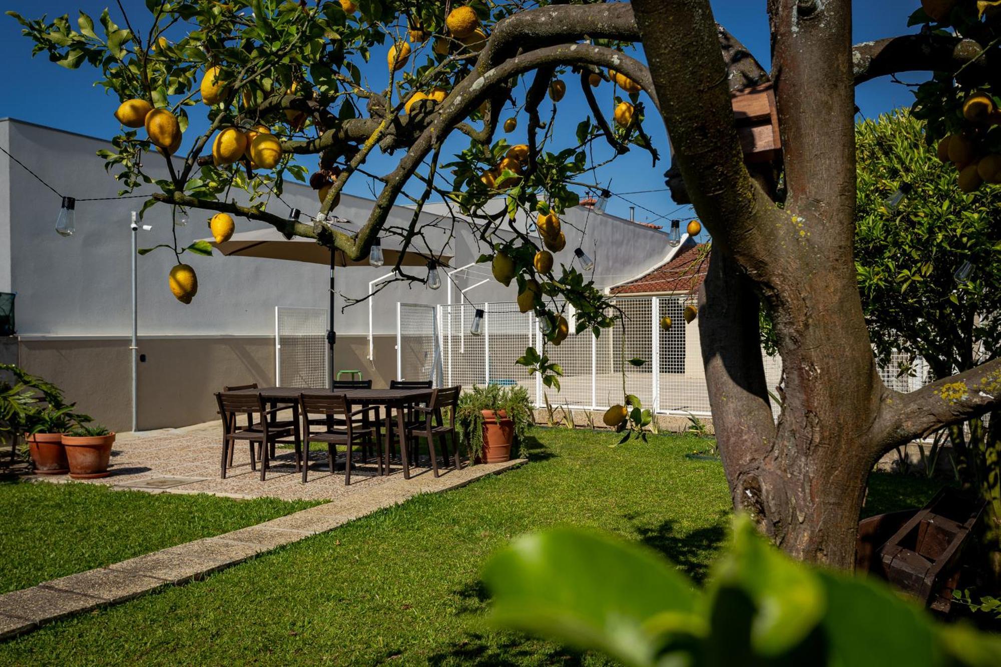 Vila 708 Mugnano House Aveleda Vila do Conde Exteriér fotografie